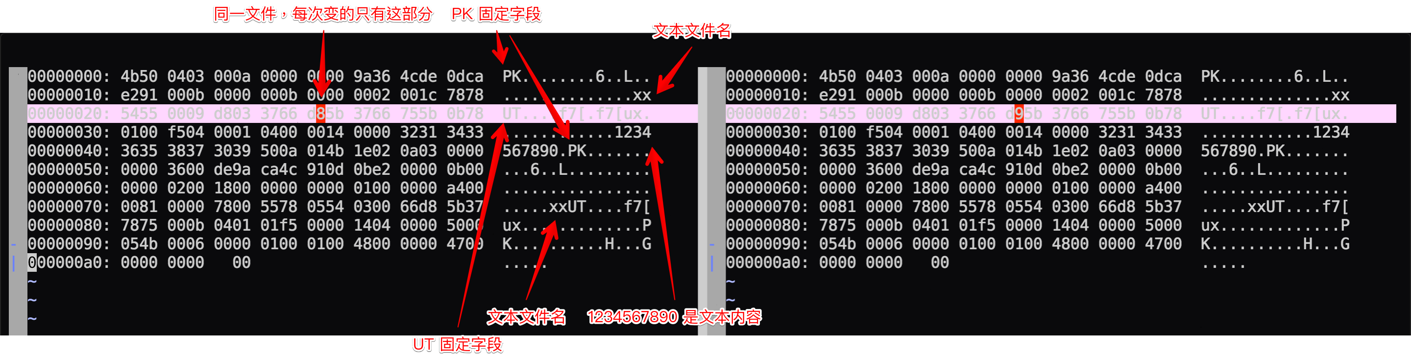 同一文件的两次 zip 内容不一致 ADoyle 的博客